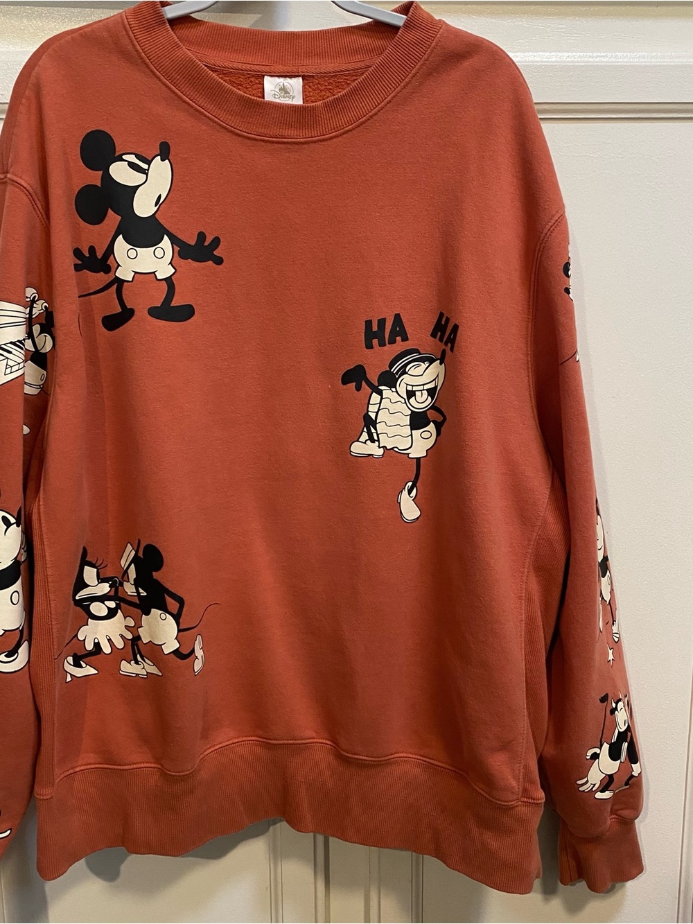Disney Rust Orange Cozy Fleece Sweatshirt